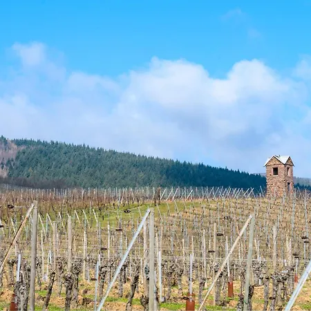 Casa vacanze Le De Luca